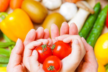 栄養環境コーディネーター